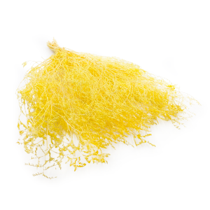 Statice Séché – Limonium Latifolium – Jaune