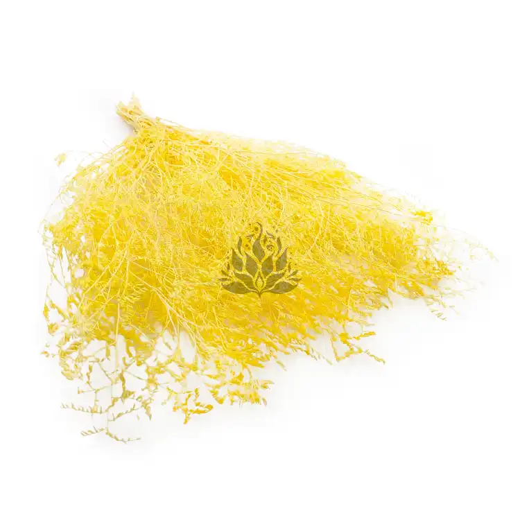 Statice Marine Yellow It 0.png
