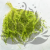 Statice Marine Lt Green IT 1.png