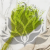 Statice Marine Lt Green IT 3.png
