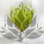 Statice Marine Lt Green IT 4.png