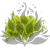 Statice Marine Lt Green IT.png