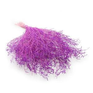 Statice Séché – Limonium Latifolium – Lilas