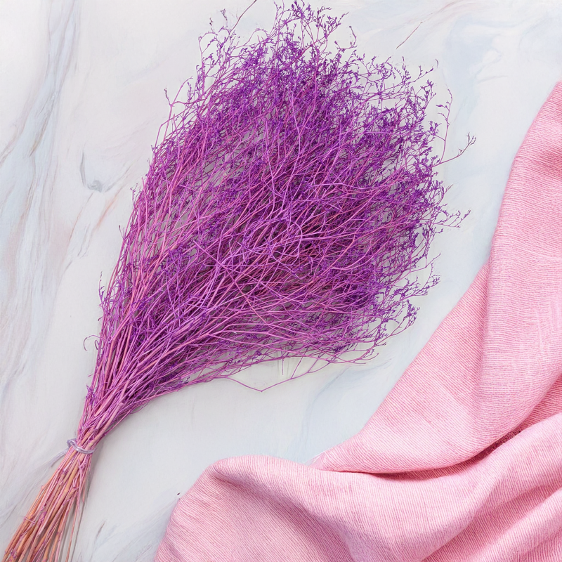 Statice Marine Lila IT 4.png