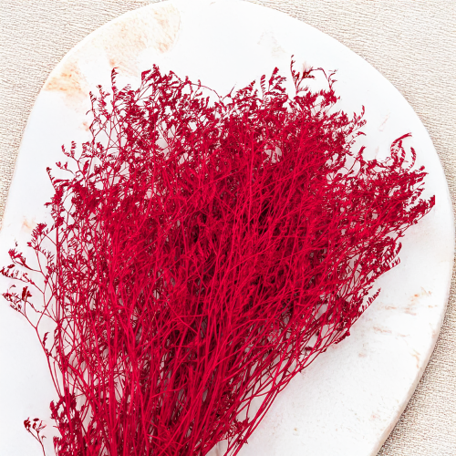 Statice Marine Red IT 2.png