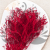 Statice Marine Red IT 2.png