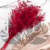 Statice Marine Red IT 3.png