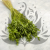 Briza maxima Lt green 1.png