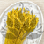 Briza maxima Yellow 3.png