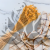 Briza maxima Peach 4.png
