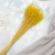 Tymotka żółta 3.png