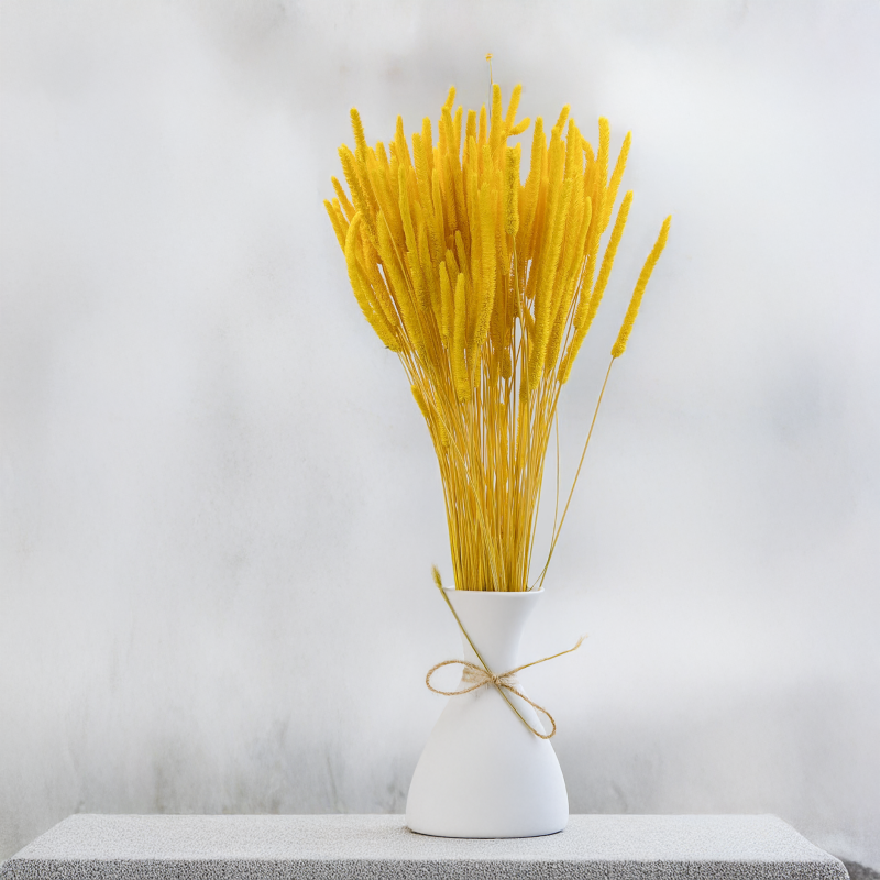 Tymotka żółta 4.png