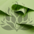 082 Green mint 4.png