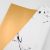 P-GOYDLS 111 WHITE 4.png