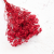 Gips Red Royal 14 1.png