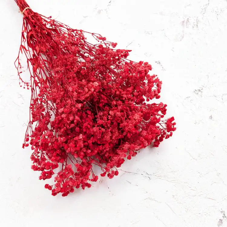 Gips Red Royal 14 1.png