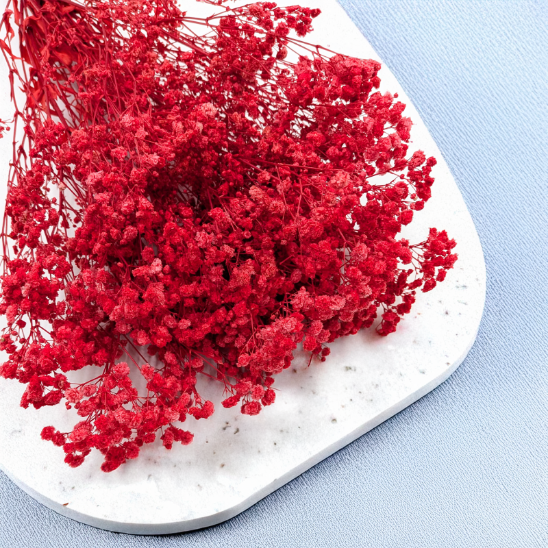 Gips Red Royal 14 2.png