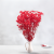 Gips Red Royal 14 5.png