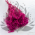 Gips Fuchsia Royal 06 1.png