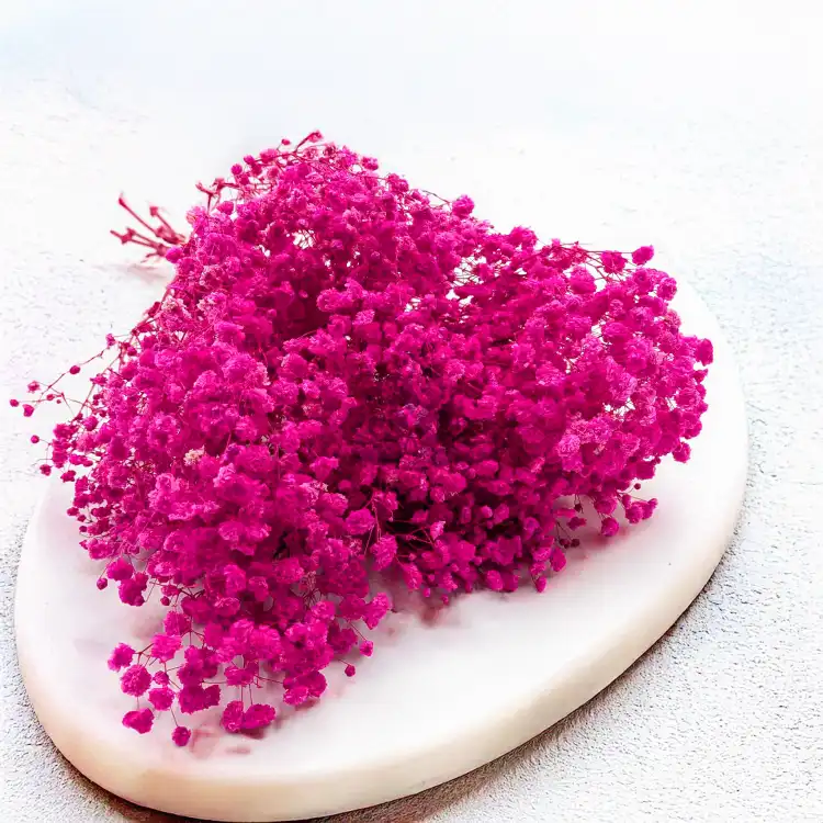 Gips Fuchsia Royal 06 2.png
