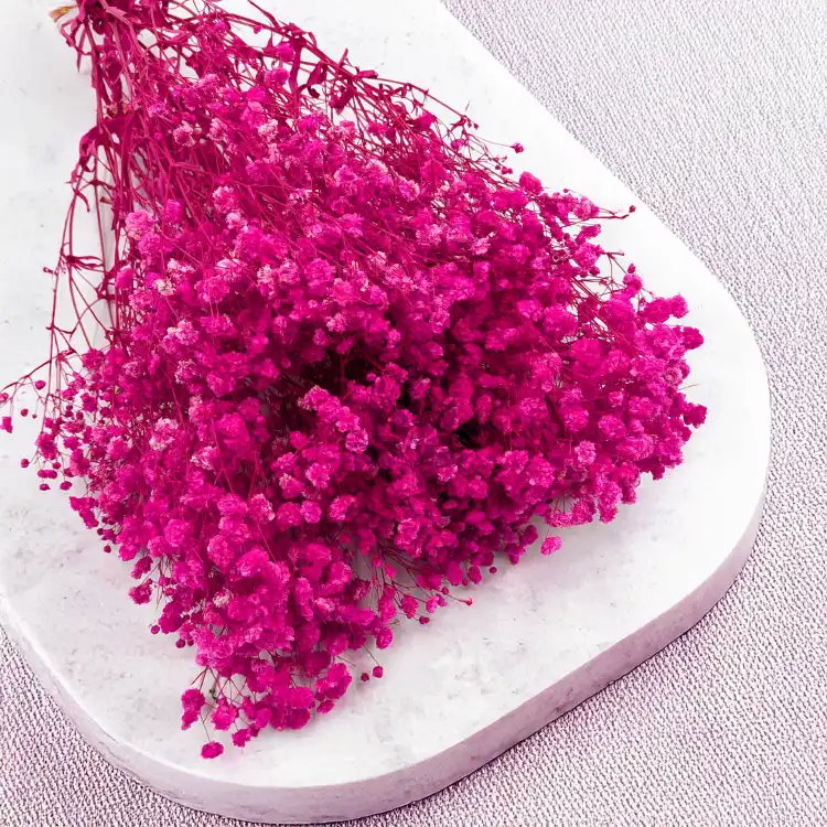 Gips Fuchsia Royal 06 3.png