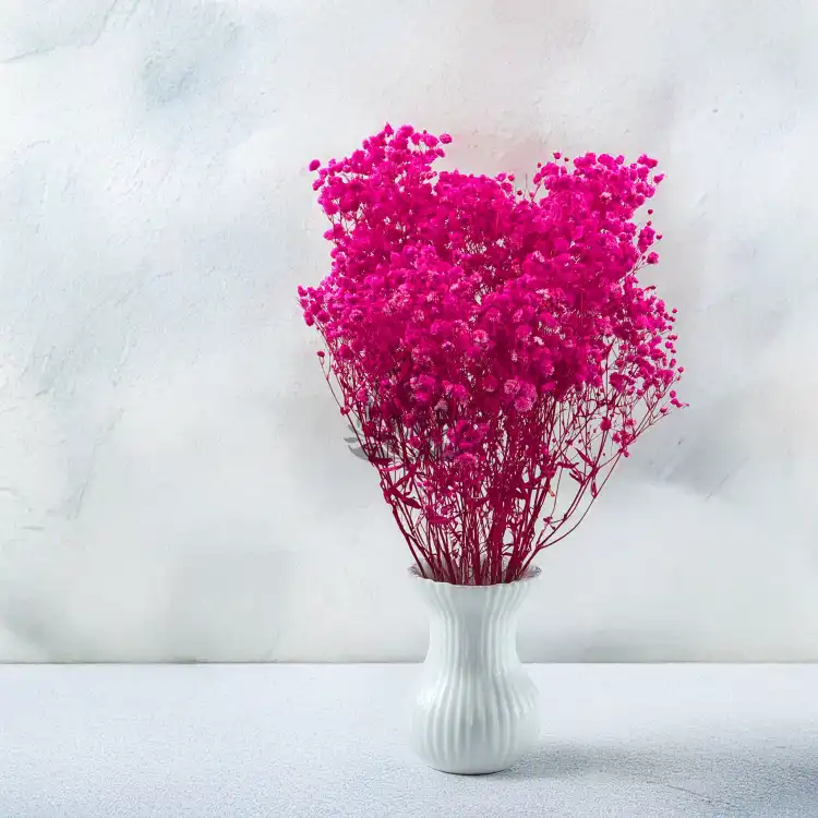 Gips Fuchsia Royal 06 5.png