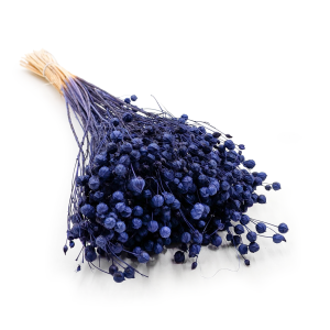 Lin Séché – Bleu Marine