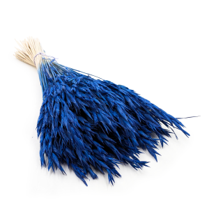 Avoine séchée – Bleu Marine