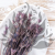 Nigella orient Lavender 5.png