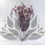 Nigella orient Lavender 6.png