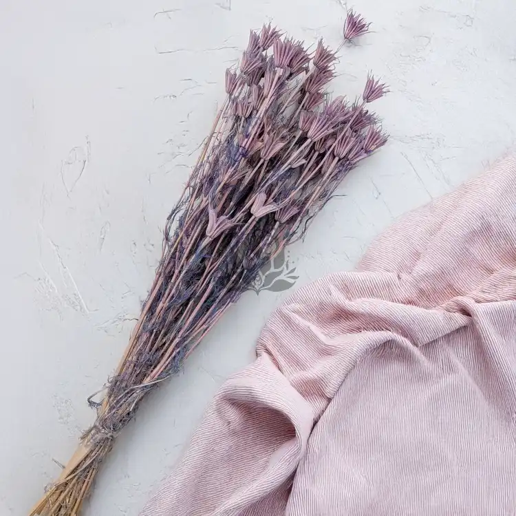 Nigella orient Lavender 3.png