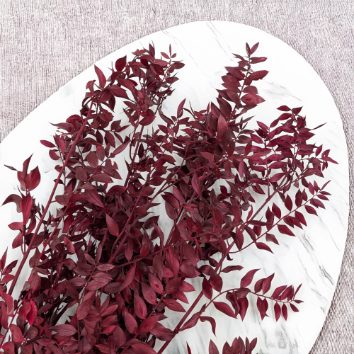 Ruskus Stab czerwony It 2.png