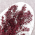 Ruskus Stab czerwony It 2.png
