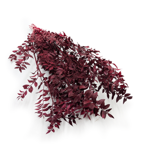 Ruskus Stab czerwony It.png