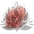 Statice Tataricum Lt Pink it 0.png