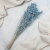 Nigella orient Sky Blue 3.png