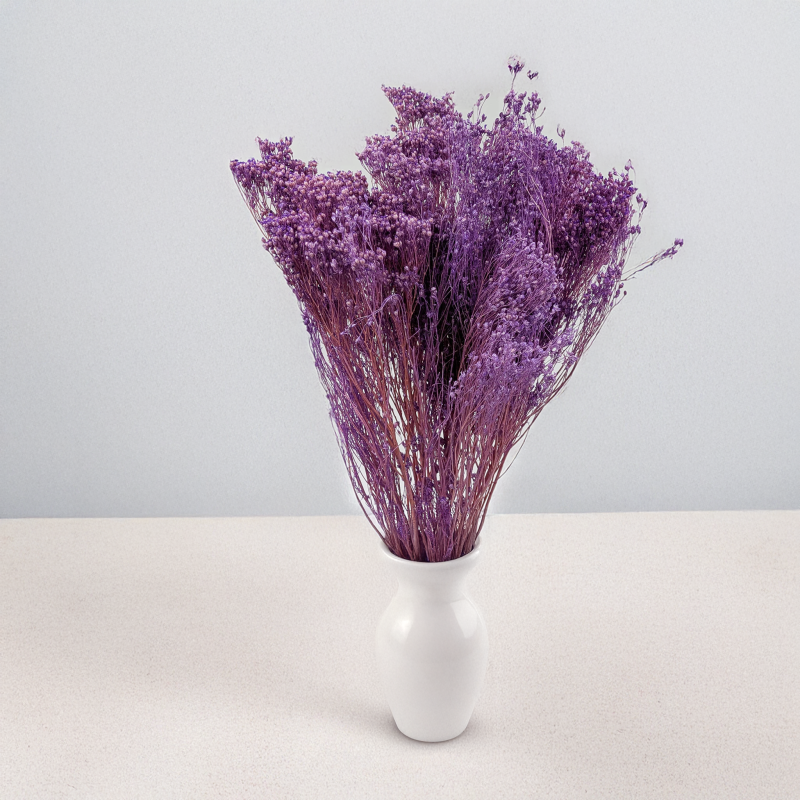 Broom Bloom lawendowy 6.png