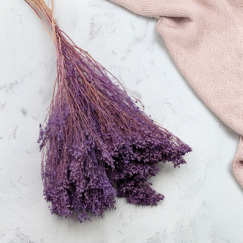 Broom Bloom lawendowy 1.png