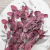 POPULUS ROYAL DUSTY PINK 2.png
