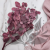 POPULUS ROYAL DUSTY PINK 3.png