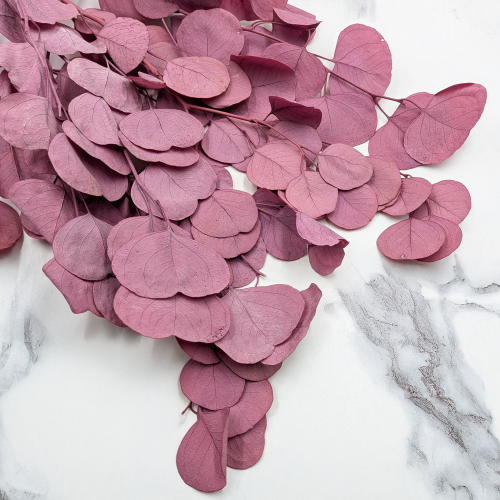 POPULUS ROYAL DUSTY PINK 4.png