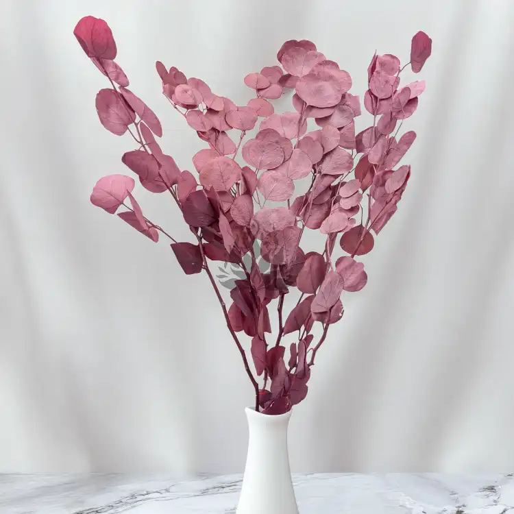 POPULUS ROYAL DUSTY PINK 5.png