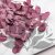 POPULUS ROYAL DUSTY PINK 1.png