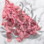 POPULUS ROYAL PINK 2.png