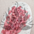 POPULUS ROYAL PINK 4.png