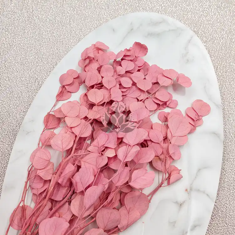 POPULUS ROYAL PINK 4.png
