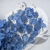 POPULUS ROYAL BLUE 3.png