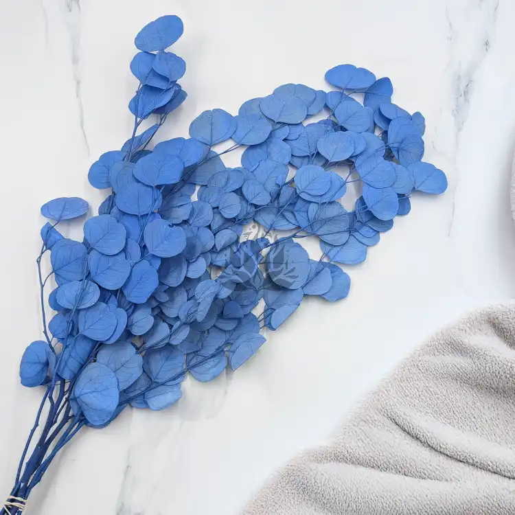 POPULUS ROYAL BLUE 4.png