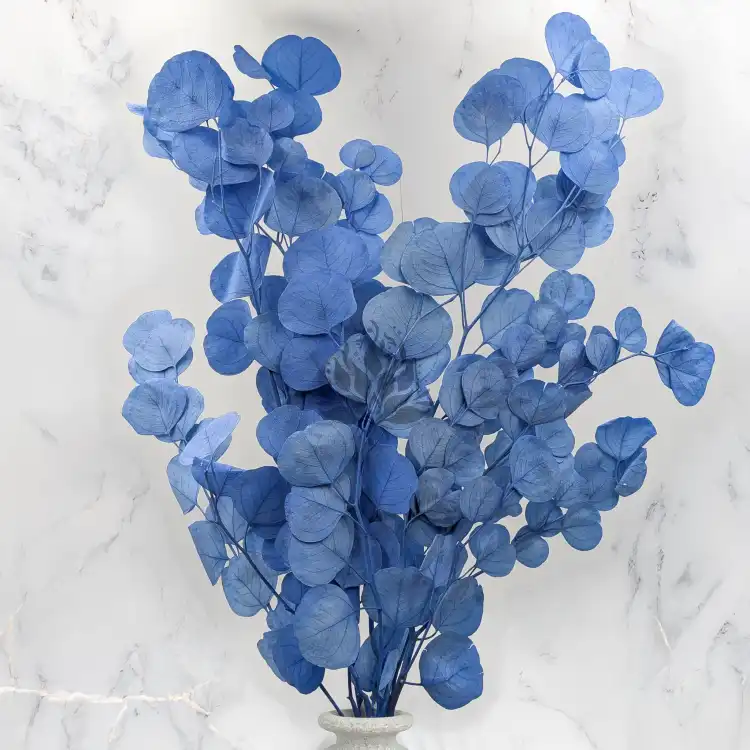 POPULUS ROYAL BLUE 5.png