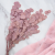 POPULUS ROYAL SAND BEIGE 3.png